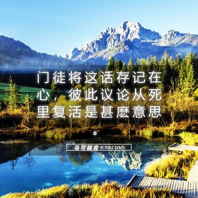 Picture 05 - 马 可 福 音 9:10 CUVS - 门 徒 将 这 话 存 记 在 心 ， 彼 此 - Bible Verse Picture