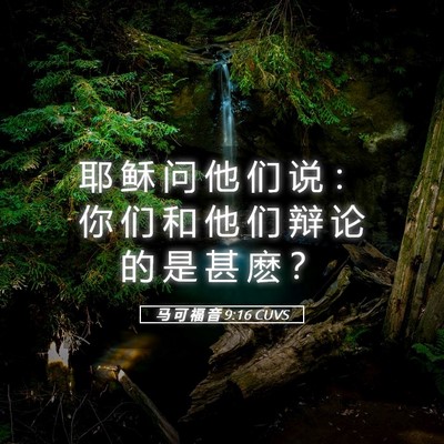 Picture 05 - 马 可 福 音 9:16 CUVS - 耶 稣 问 他 们 说 ： 你 们 和 他 们 - Bible Verse Picture