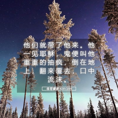 Picture 05 - 马 可 福 音 9:20 CUVS - 他 们 就 带 了 他 来 。 他 一 见 耶 - Bible Verse Picture
