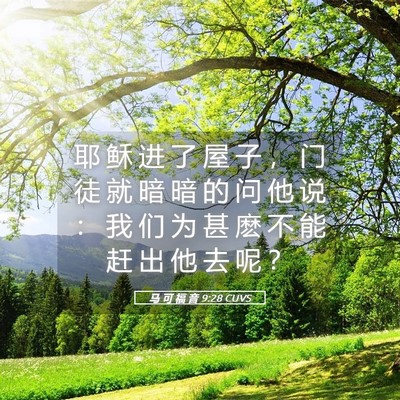 Picture 05 - 马 可 福 音 9:28 CUVS - 耶 稣 进 了 屋 子 ， 门 徒 就 暗 暗 - Bible Verse Picture