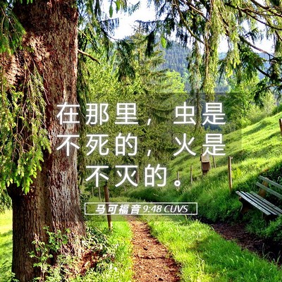Picture 05 - 马 可 福 音 9:48 CUVS - 在 那 里 ， 虫 是 不 死 的 ， 火 是 - Bible Verse Picture