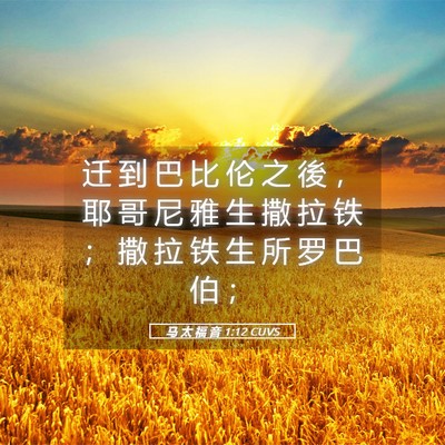 Picture 05 - 马 太 福 音 1:12 CUVS - 迁 到 巴 比 伦 之 後 ， 耶 哥 尼 雅 - Bible Verse Picture