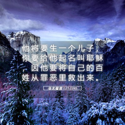 Picture 05 - 马 太 福 音 1:21 CUVS - 他 将 要 生 一 个 儿 子 ， 你 要 给 - Bible Verse Picture