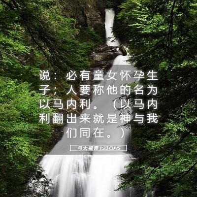 Picture 05 - 马 太 福 音 1:23 CUVS - 说 ： 必 有 童 女 怀 孕 生 子 ； 人 - Bible Verse Picture