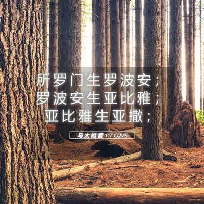 Picture 05 - 马 太 福 音 1:7 CUVS - 所 罗 门 生 罗 波 安 ； 罗 波 安 生 - Bible Verse Picture