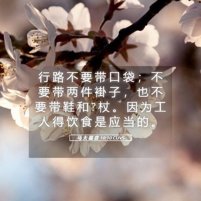 Picture 05 - 马 太 福 音 10:10 CUVS - 行 路 不 要 带 口 袋 ； 不 要 带 两 - Bible Verse Picture