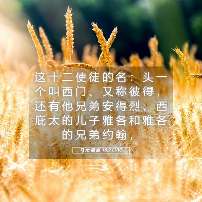 Picture 05 - 马 太 福 音 10:2 CUVS - 这 十 二 使 徒 的 名 ： 头 一 个 叫 - Bible Verse Picture