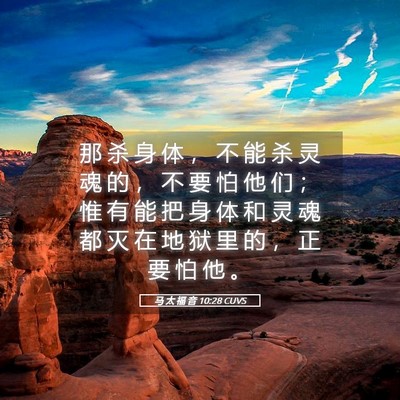 Picture 05 - 马 太 福 音 10:28 CUVS - 那 杀 身 体 ， 不 能 杀 灵 魂 的 ， - Bible Verse Picture