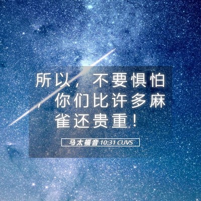 Picture 05 - 马 太 福 音 10:31 CUVS - 所 以 ， 不 要 惧 怕 ， 你 们 比 许 - Bible Verse Picture