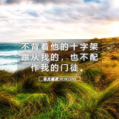 Picture 05 - 马 太 福 音 10:38 CUVS - 不 背 着 他 的 十 字 架 跟 从 我 的 - Bible Verse Picture