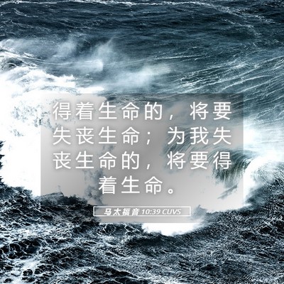 Picture 05 - 马 太 福 音 10:39 CUVS - 得 着 生 命 的 ， 将 要 失 丧 生 命 - Bible Verse Picture