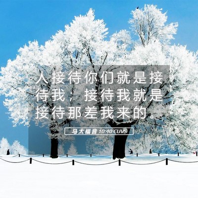Picture 05 - 马 太 福 音 10:40 CUVS - 人 接 待 你 们 就 是 接 待 我 ； 接 - Bible Verse Picture