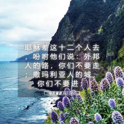 Picture 05 - 马 太 福 音 10:5 CUVS - 耶 稣 差 这 十 二 个 人 去 ， 吩 咐 - Bible Verse Picture