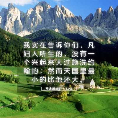 Picture 05 - 马 太 福 音 11:11 CUVS - 我 实 在 告 诉 你 们 ， 凡 妇 人 所 - Bible Verse Picture