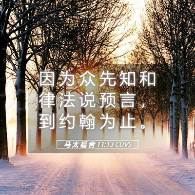 Picture 05 - 马 太 福 音 11:13 CUVS - 因 为 众 先 知 和 律 法 说 预 言 ， - Bible Verse Picture