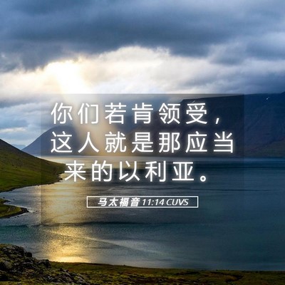Picture 05 - 马 太 福 音 11:14 CUVS - 你 们 若 肯 领 受 ， 这 人 就 是 那 - Bible Verse Picture