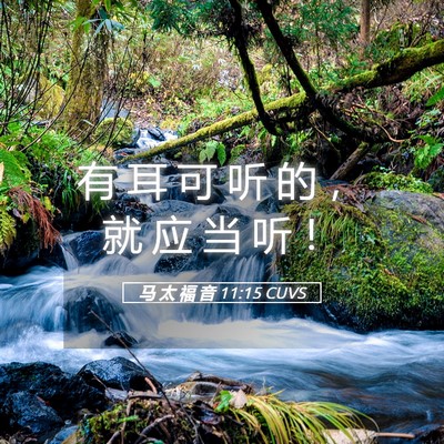 Picture 05 - 马 太 福 音 11:15 CUVS - 有 耳 可 听 的 ， 就 应 当 听 - Bible Verse Picture