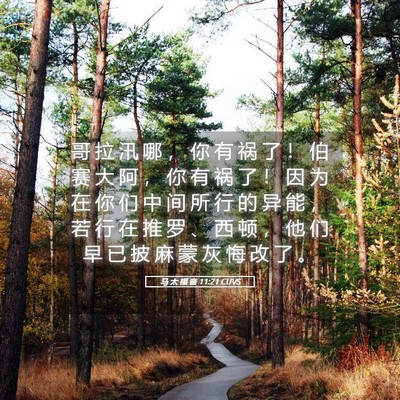Picture 05 - 马 太 福 音 11:21 CUVS - 哥 拉 汛 哪 ， 你 有 祸 了 ！ 伯 赛 - Bible Verse Picture