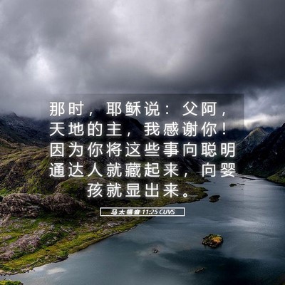 Picture 05 - 马 太 福 音 11:25 CUVS - 那 时 ， 耶 稣 说 ： 父 阿 ， 天 地 - Bible Verse Picture