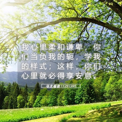 Picture 05 - 马 太 福 音 11:29 CUVS - 我 心 里 柔 和 谦 卑 ， 你 们 当 负 - Bible Verse Picture