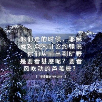 Picture 05 - 马 太 福 音 11:7 CUVS - 他 们 走 的 时 候 ， 耶 稣 就 对 众 - Bible Verse Picture