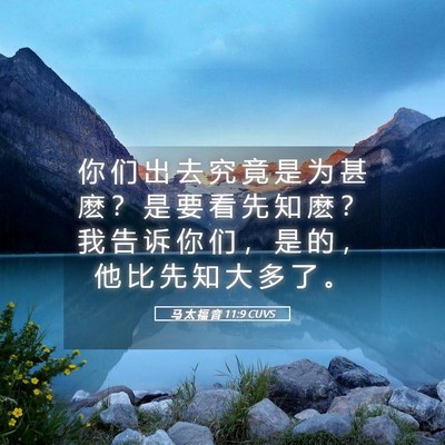 Picture 05 - 马 太 福 音 11:9 CUVS - 你 们 出 去 究 竟 是 为 甚 麽 ？ 是 - Bible Verse Picture