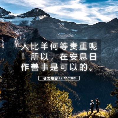 Picture 05 - 马 太 福 音 12:12 CUVS - 人 比 羊 何 等 贵 重 呢 ！ 所 以 ， - Bible Verse Picture