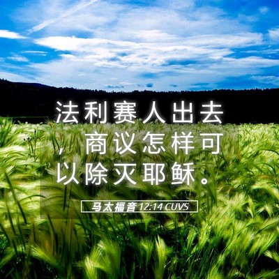 Picture 05 - 马 太 福 音 12:14 CUVS - 法 利 赛 人 出 去 ， 商 议 怎 样 可 - Bible Verse Picture