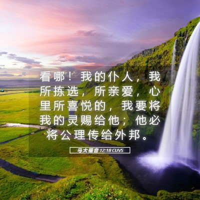 Picture 05 - 马 太 福 音 12:18 CUVS - 看 哪 ！ 我 的 仆 人 ， 我 所 拣 选 - Bible Verse Picture