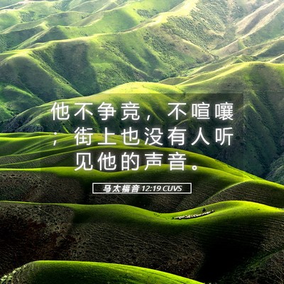 Picture 05 - 马 太 福 音 12:19 CUVS - 他 不 争 竞 ， 不 喧 嚷 ； 街 上 也 - Bible Verse Picture