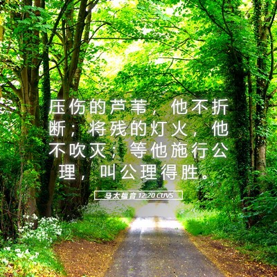 Picture 05 - 马 太 福 音 12:20 CUVS - 压 伤 的 芦 苇 ， 他 不 折 断 ； 将 - Bible Verse Picture