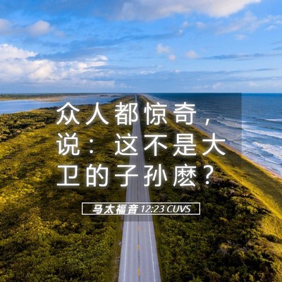Picture 05 - 马 太 福 音 12:23 CUVS - 众 人 都 惊 奇 ， 说 ： 这 不 是 大 - Bible Verse Picture