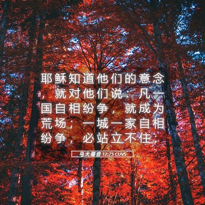Picture 05 - 马 太 福 音 12:25 CUVS - 耶 稣 知 道 他 们 的 意 念 ， 就 对 - Bible Verse Picture