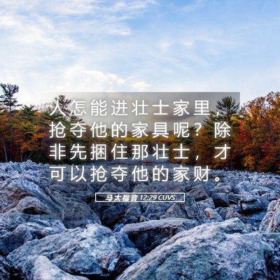 Picture 05 - 马 太 福 音 12:29 CUVS - 人 怎 能 进 壮 士 家 里 ， 抢 夺 他 - Bible Verse Picture