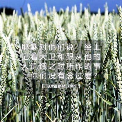 Picture 05 - 马 太 福 音 12:3 CUVS - 耶 稣 对 他 们 说 ： 经 上 记 着 大 - Bible Verse Picture