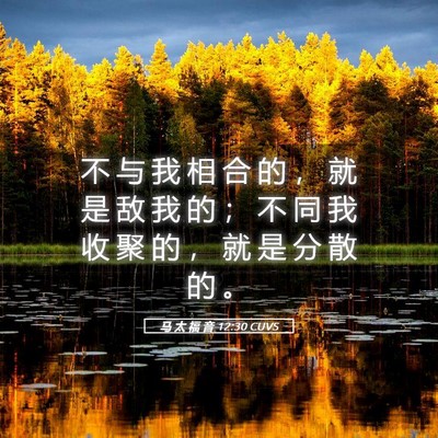 Picture 05 - 马 太 福 音 12:30 CUVS - 不 与 我 相 合 的 ， 就 是 敌 我 的 - Bible Verse Picture