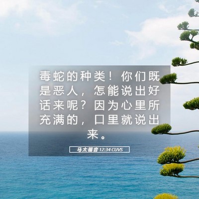 Picture 05 - 马 太 福 音 12:34 CUVS - 毒 蛇 的 种 类 ！ 你 们 既 是 恶 人 - Bible Verse Picture