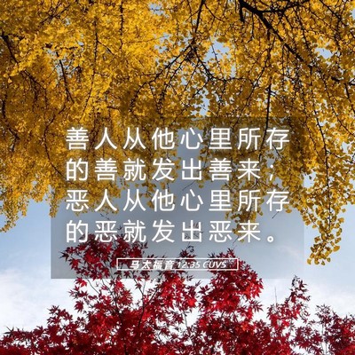 Picture 05 - 马 太 福 音 12:35 CUVS - 善 人 从 他 心 里 所 存 的 善 就 发 - Bible Verse Picture