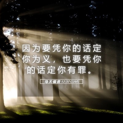 Picture 05 - 马 太 福 音 12:37 CUVS - 因 为 要 凭 你 的 话 定 你 为 义 ， - Bible Verse Picture