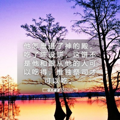 Picture 05 - 马 太 福 音 12:4 CUVS - 他 怎 麽 进 了 神 的 殿 ， 吃 了 陈 - Bible Verse Picture