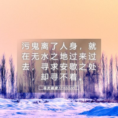 Picture 05 - 马 太 福 音 12:43 CUVS - 污 鬼 离 了 人 身 ， 就 在 无 水 之 - Bible Verse Picture