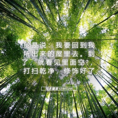 Picture 05 - 马 太 福 音 12:44 CUVS - 於 是 说 ： 我 要 回 到 我 所 出 来 - Bible Verse Picture