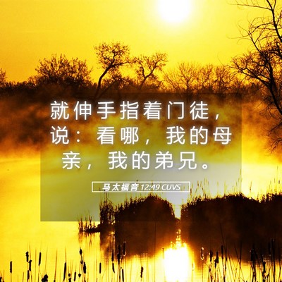 Picture 05 - 马 太 福 音 12:49 CUVS - 就 伸 手 指 着 门 徒 ， 说 ： 看 哪 - Bible Verse Picture