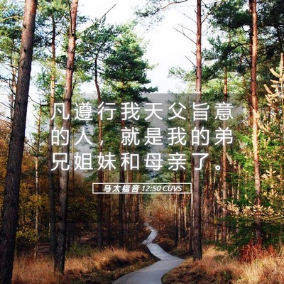 Picture 05 - 马 太 福 音 12:50 CUVS - 凡 遵 行 我 天 父 旨 意 的 人 ， 就 - Bible Verse Picture