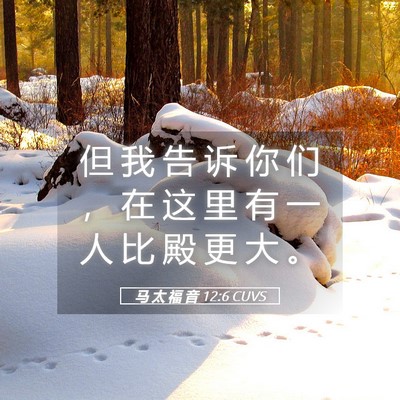 Picture 05 - 马 太 福 音 12:6 CUVS - 但 我 告 诉 你 们 ， 在 这 里 有 一 - Bible Verse Picture