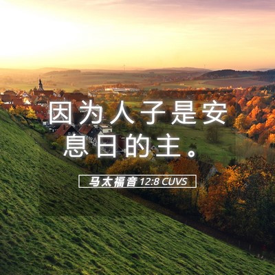 Picture 05 - 马 太 福 音 12:8 CUVS - 因 为 人 子 是 安 息 日 的 主 - Bible Verse Picture