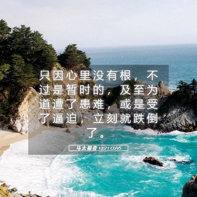 Picture 05 - 马 太 福 音 13:21 CUVS - 只 因 心 里 没 有 根 ， 不 过 是 暂 - Bible Verse Picture
