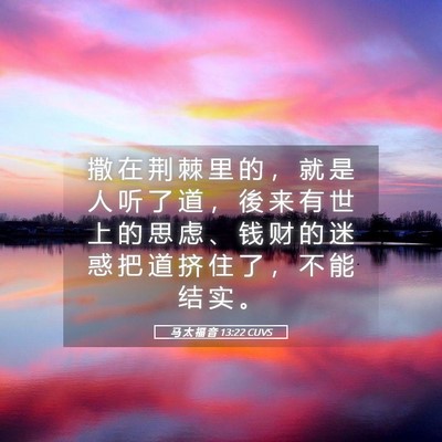 Picture 05 - 马 太 福 音 13:22 CUVS - 撒 在 荆 棘 里 的 ， 就 是 人 听 了 - Bible Verse Picture