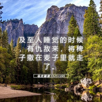 Picture 05 - 马 太 福 音 13:25 CUVS - 及 至 人 睡 觉 的 时 候 ， 有 仇 敌 - Bible Verse Picture