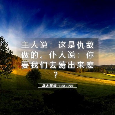 Picture 05 - 马 太 福 音 13:28 CUVS - 主 人 说 ： 这 是 仇 敌 做 的 。 仆 - Bible Verse Picture